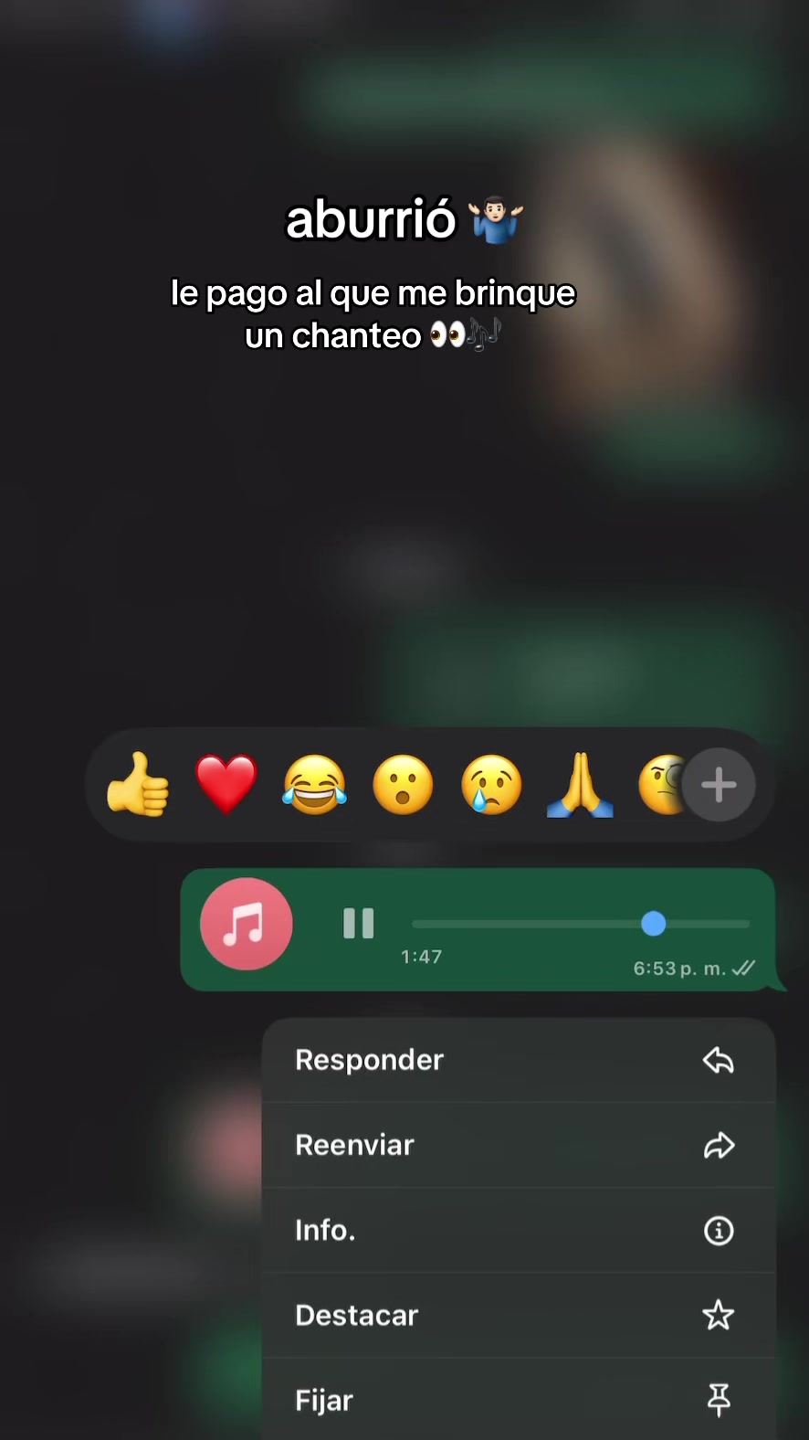 @santopfy