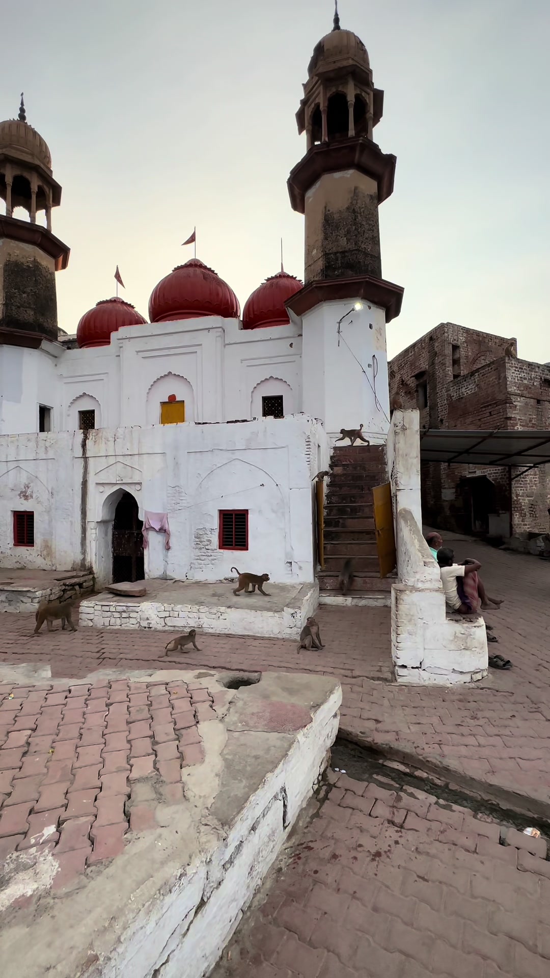 @India-Travel