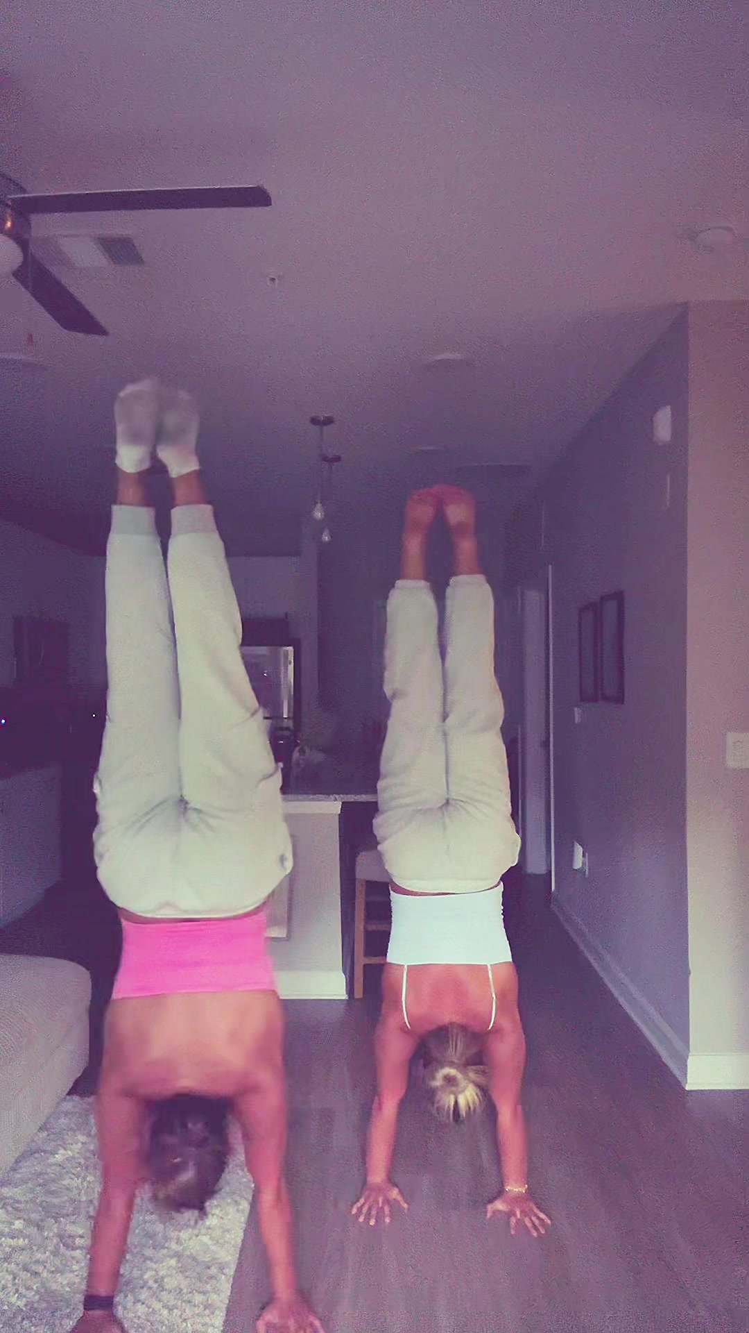 @lilybruce
