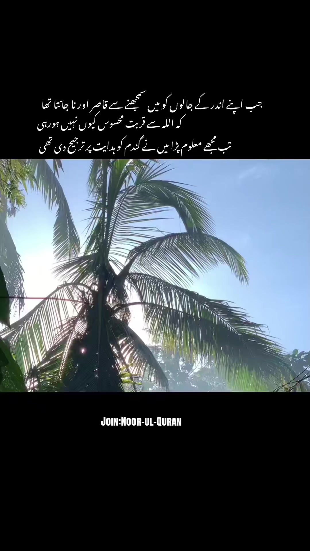 @قیس ✨🤍