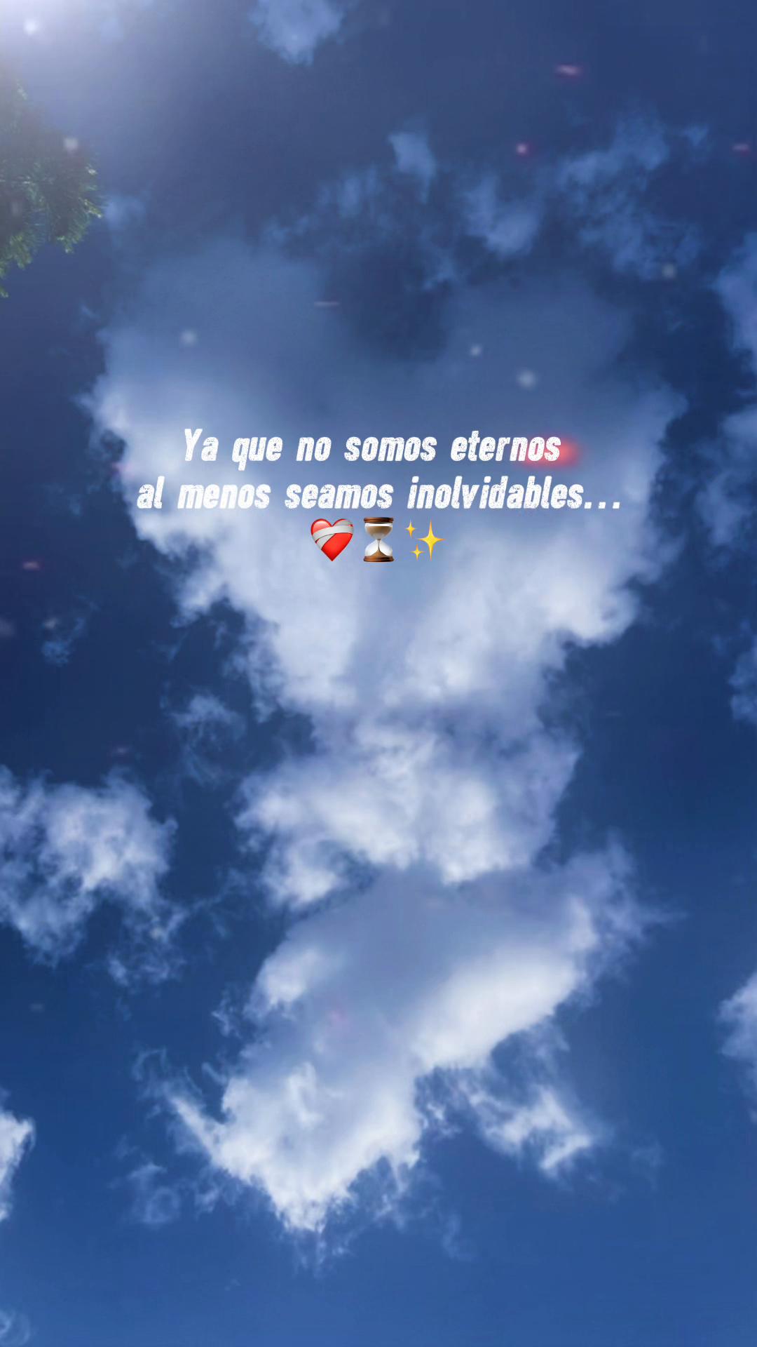 @flaco_S17
