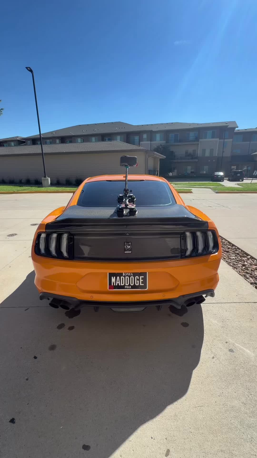 @LaVidaDeBori787PR🇵🇷🐺