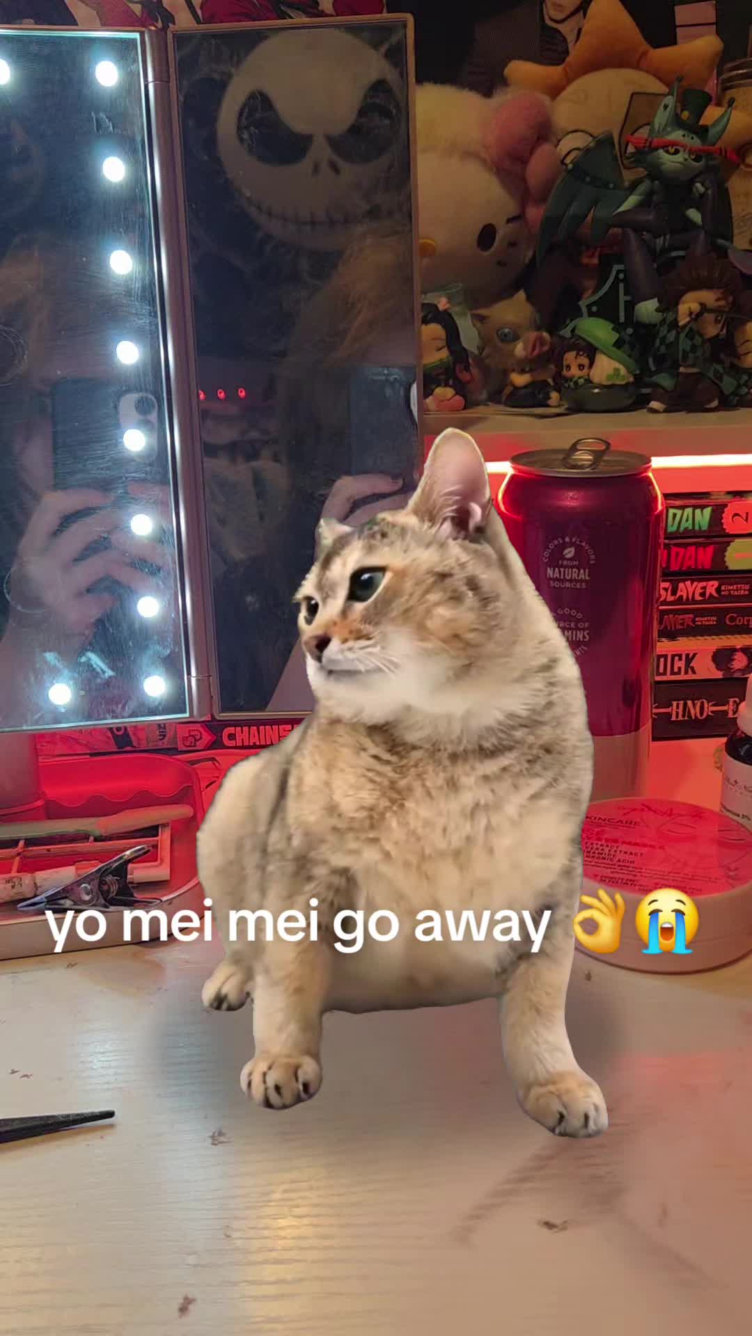 @𝙸𝚜𝚞𝚎𝚕 ✧.* 🐉