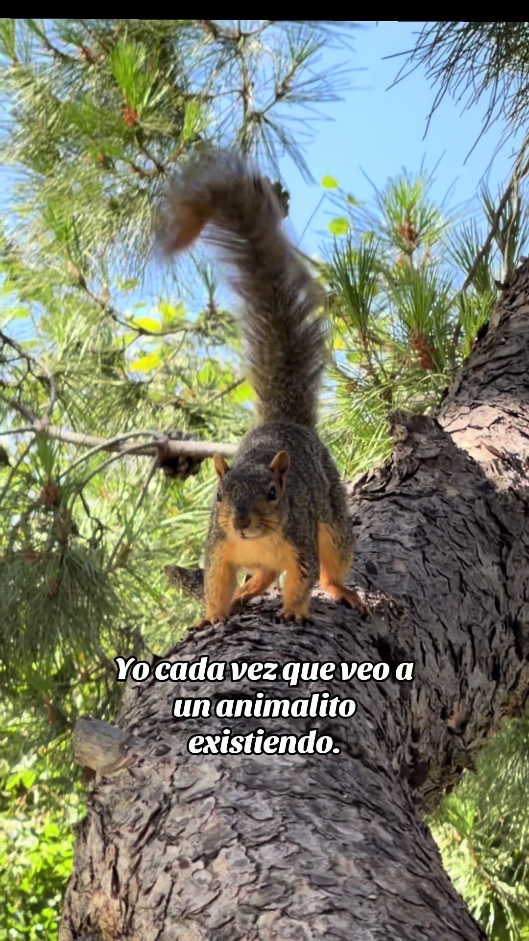 @Lore Cardenas