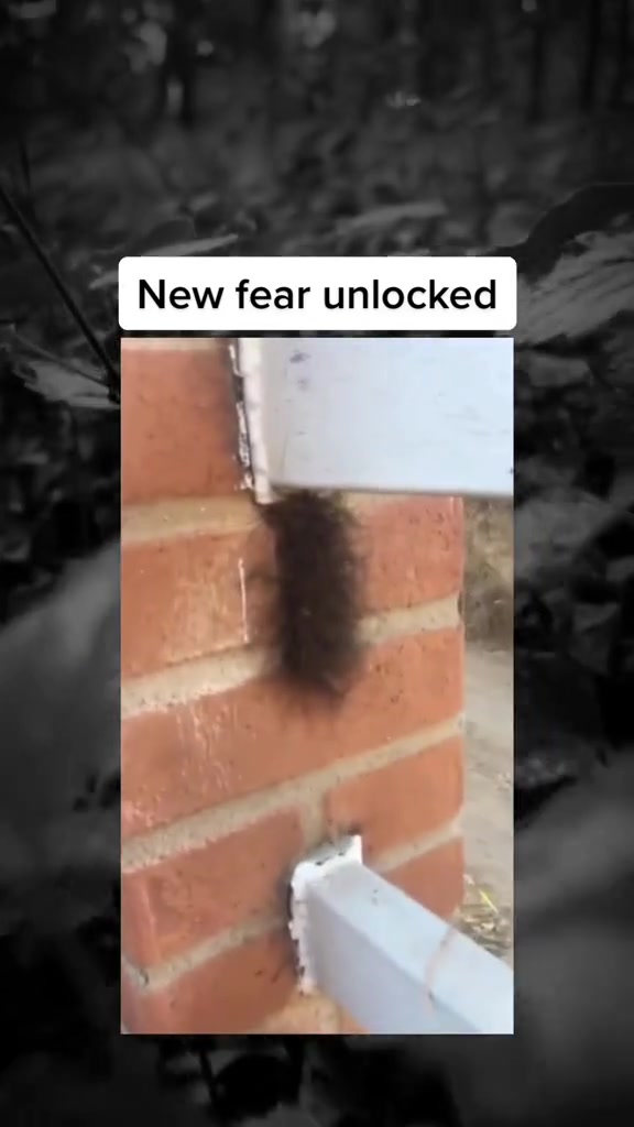 @SCARYVIDEOS