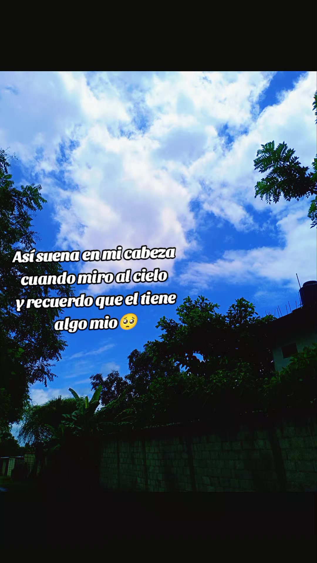 @ꨄ︎❤︎ paula tolentino