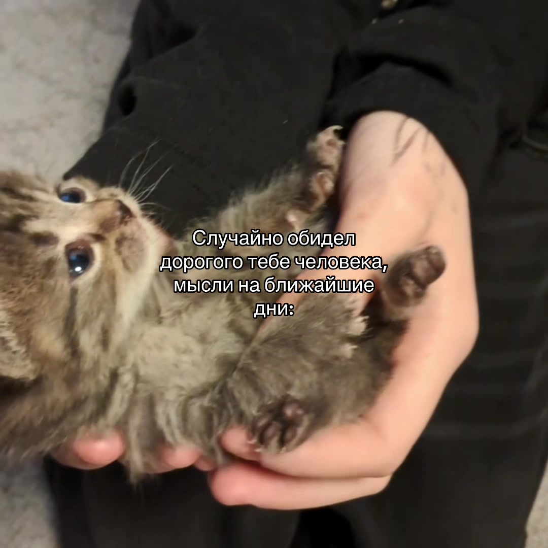 @reals134