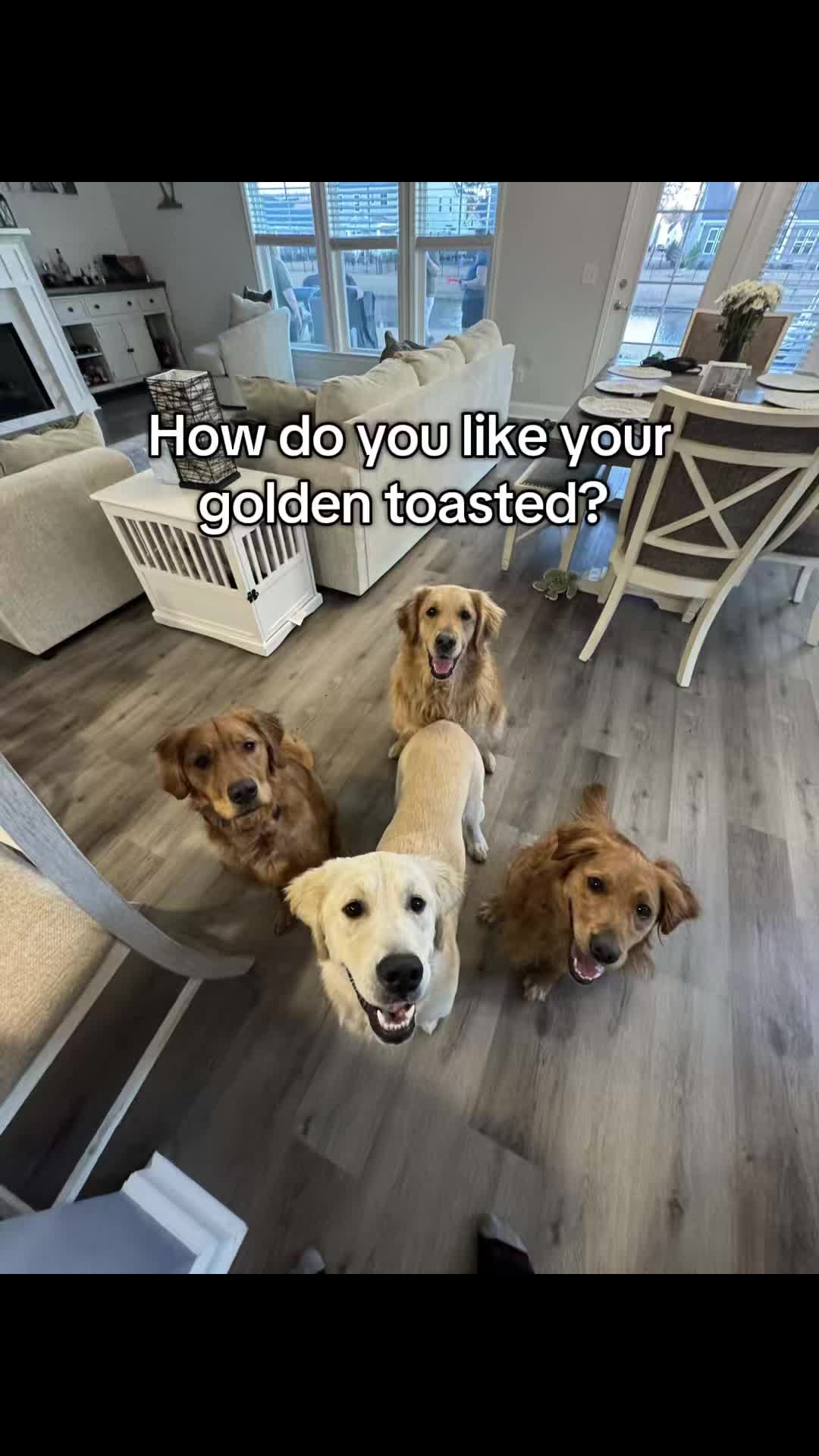 @Remi & Maple 🐾