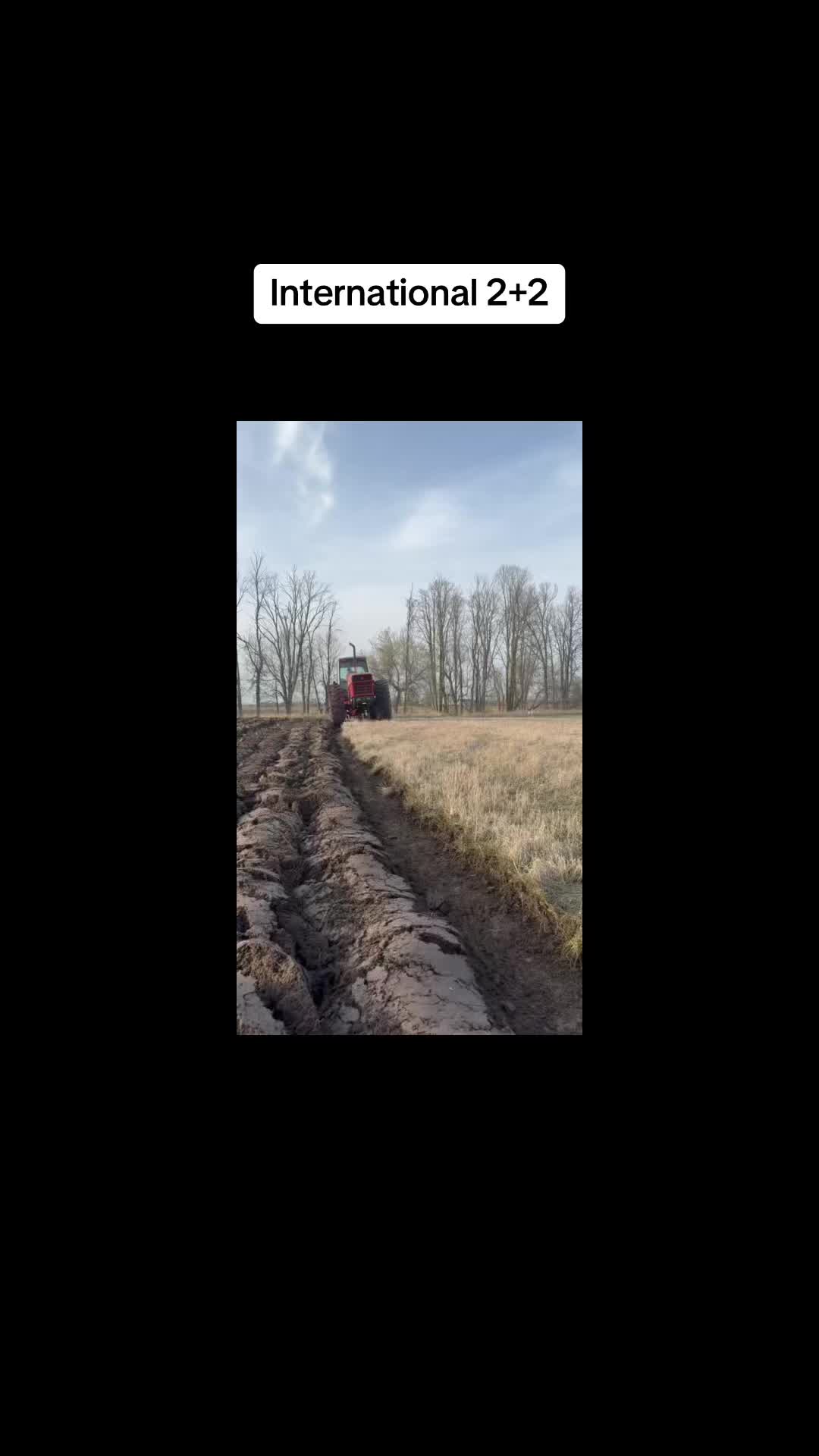 @Heritage Cattle Co