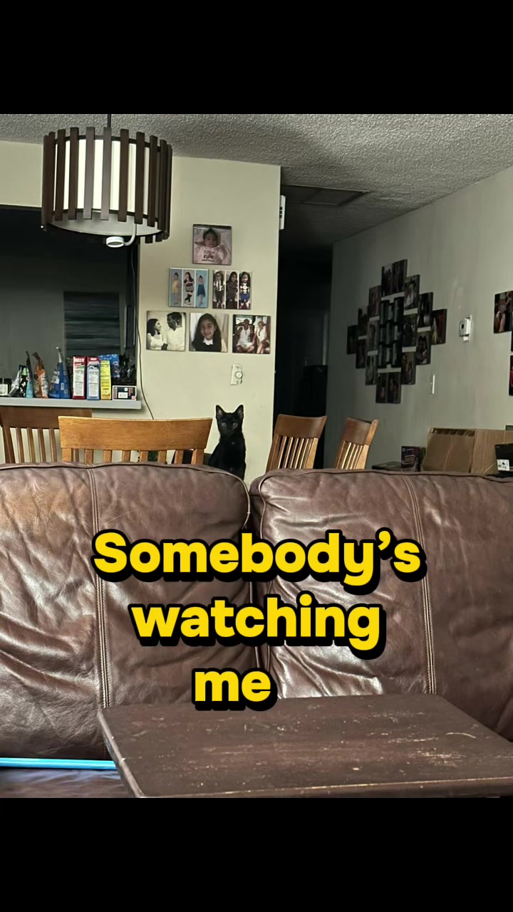 @TheVideoNook