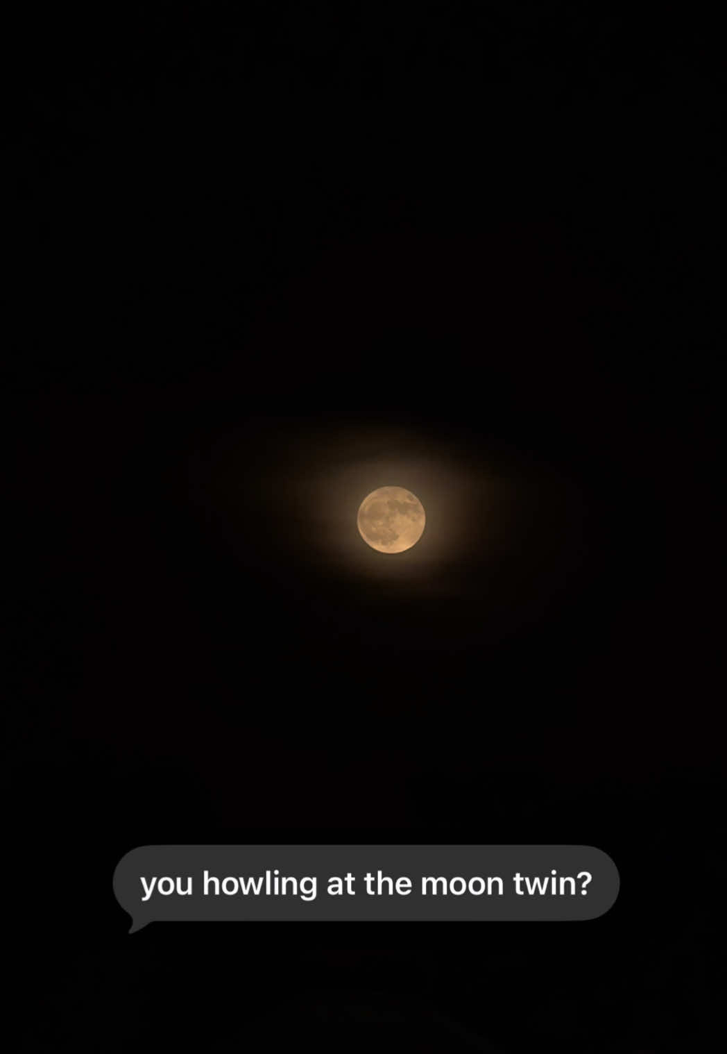 @𓆣