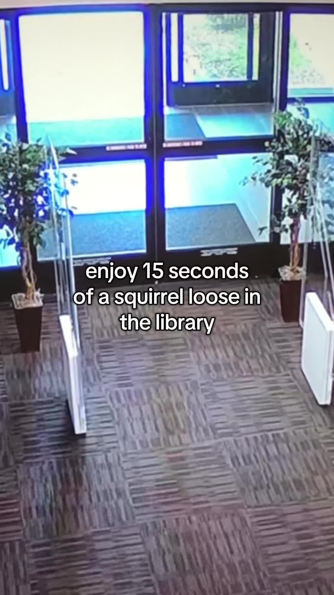 @Sherman Public Library