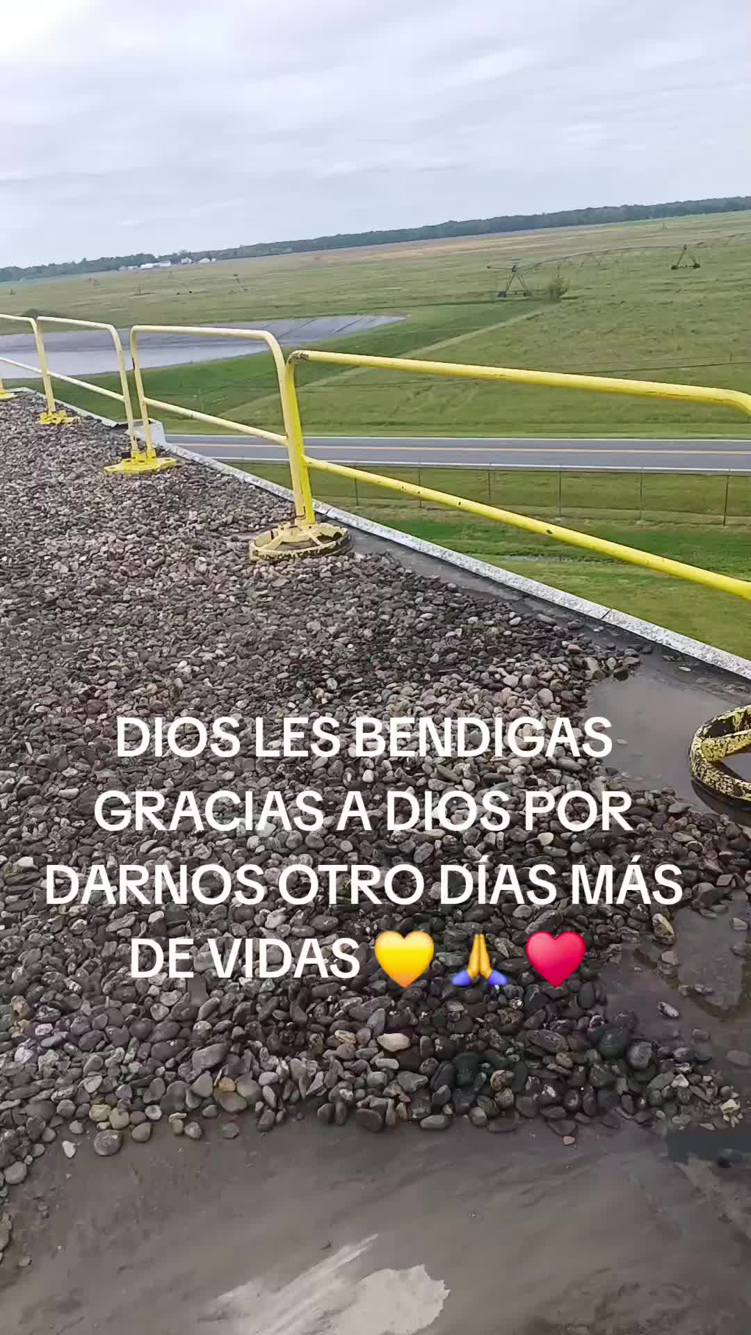 @Isaias Royce