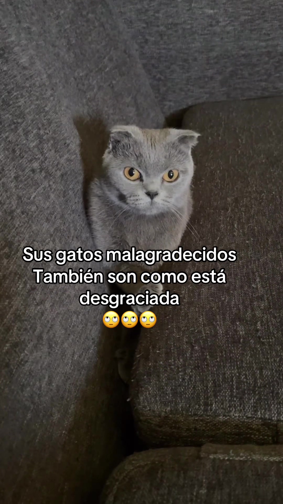 @praadoo_1987