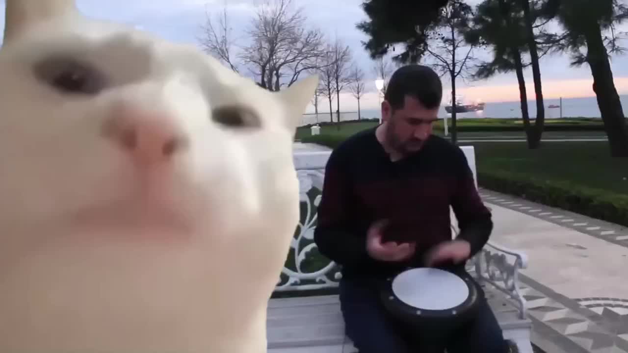 @Lost memes archives