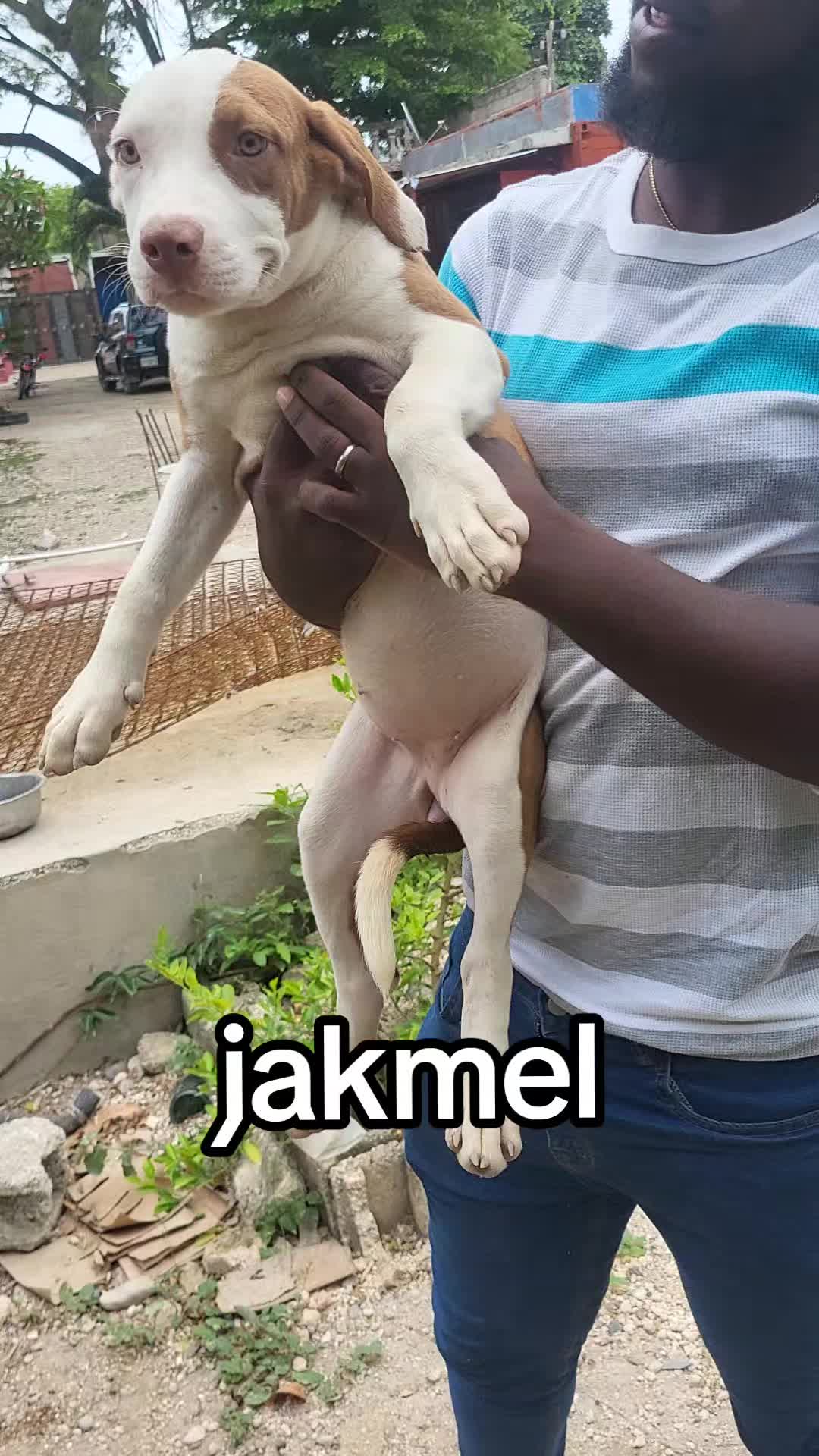 @Bendog