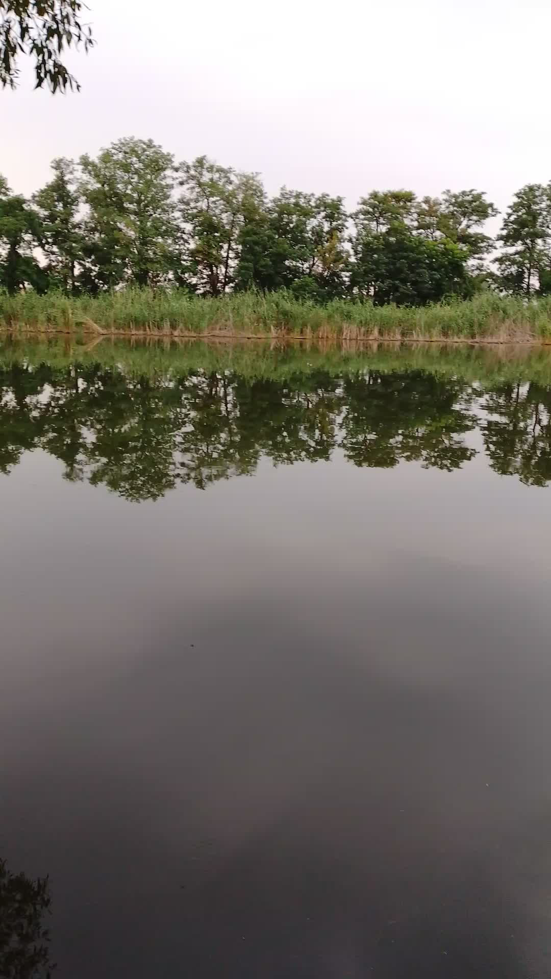 @Валера и Саша Ногины