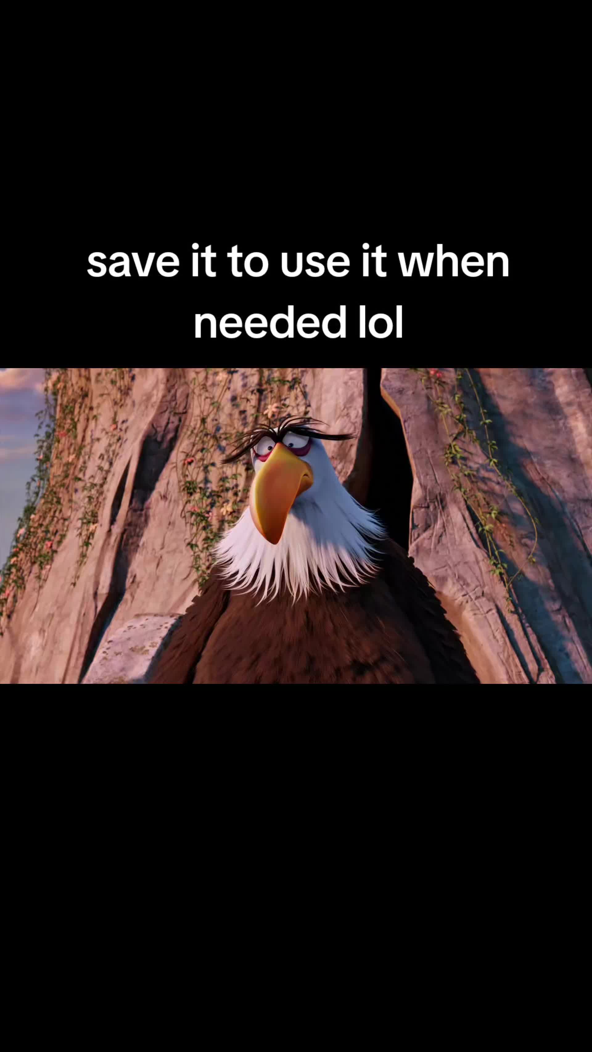 @PiggyIdk