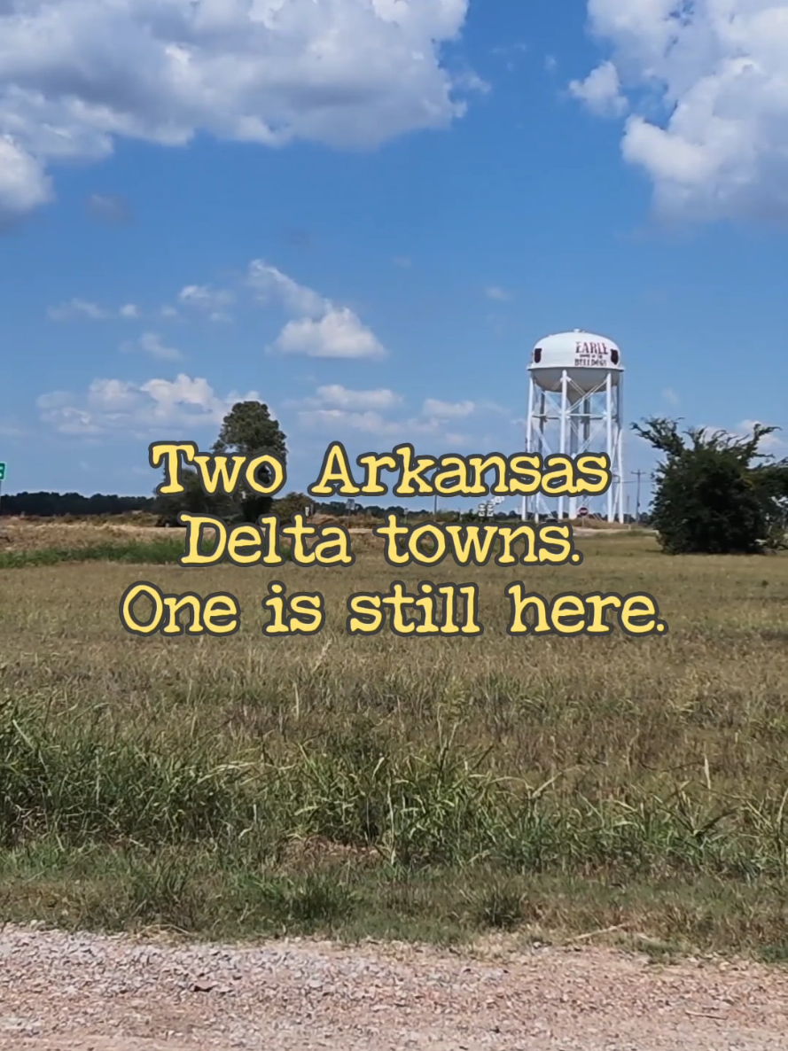 @wanderingswhimsy