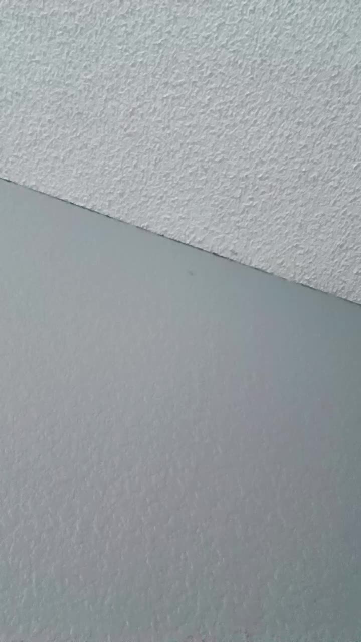 @alexandrak951