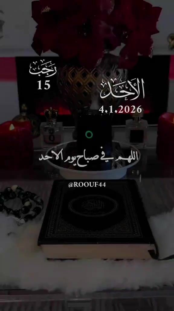 @شيخ رشيد