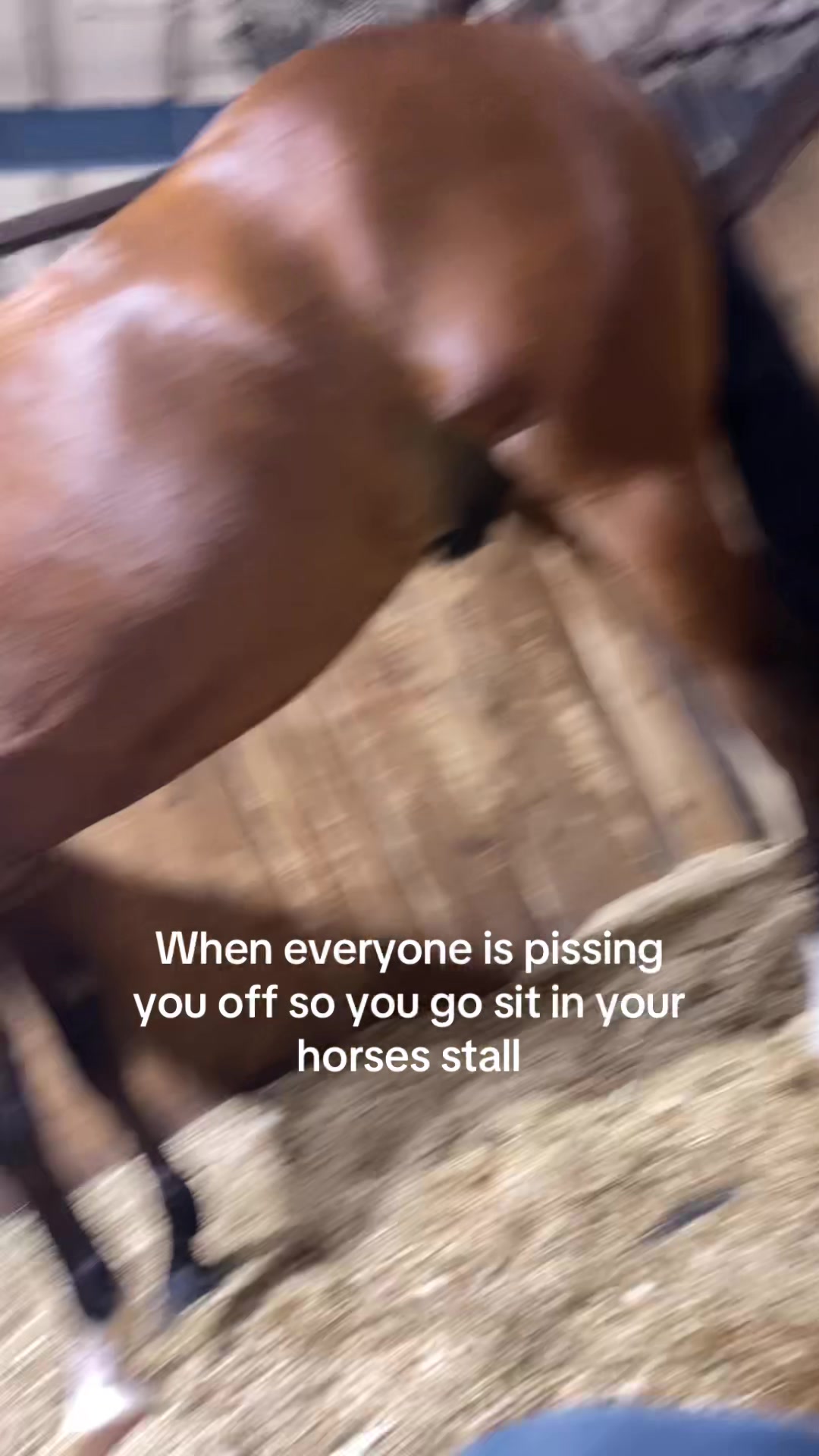 @bryndlekaye_horses