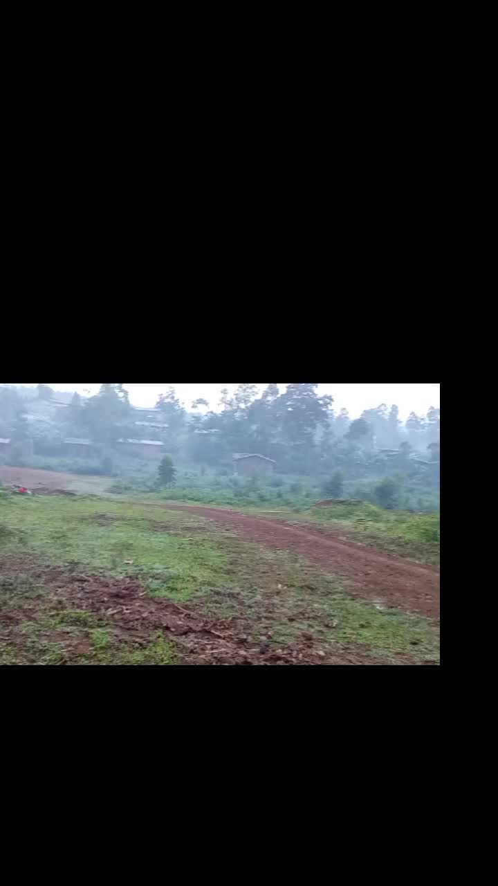 @Asto Alemu
