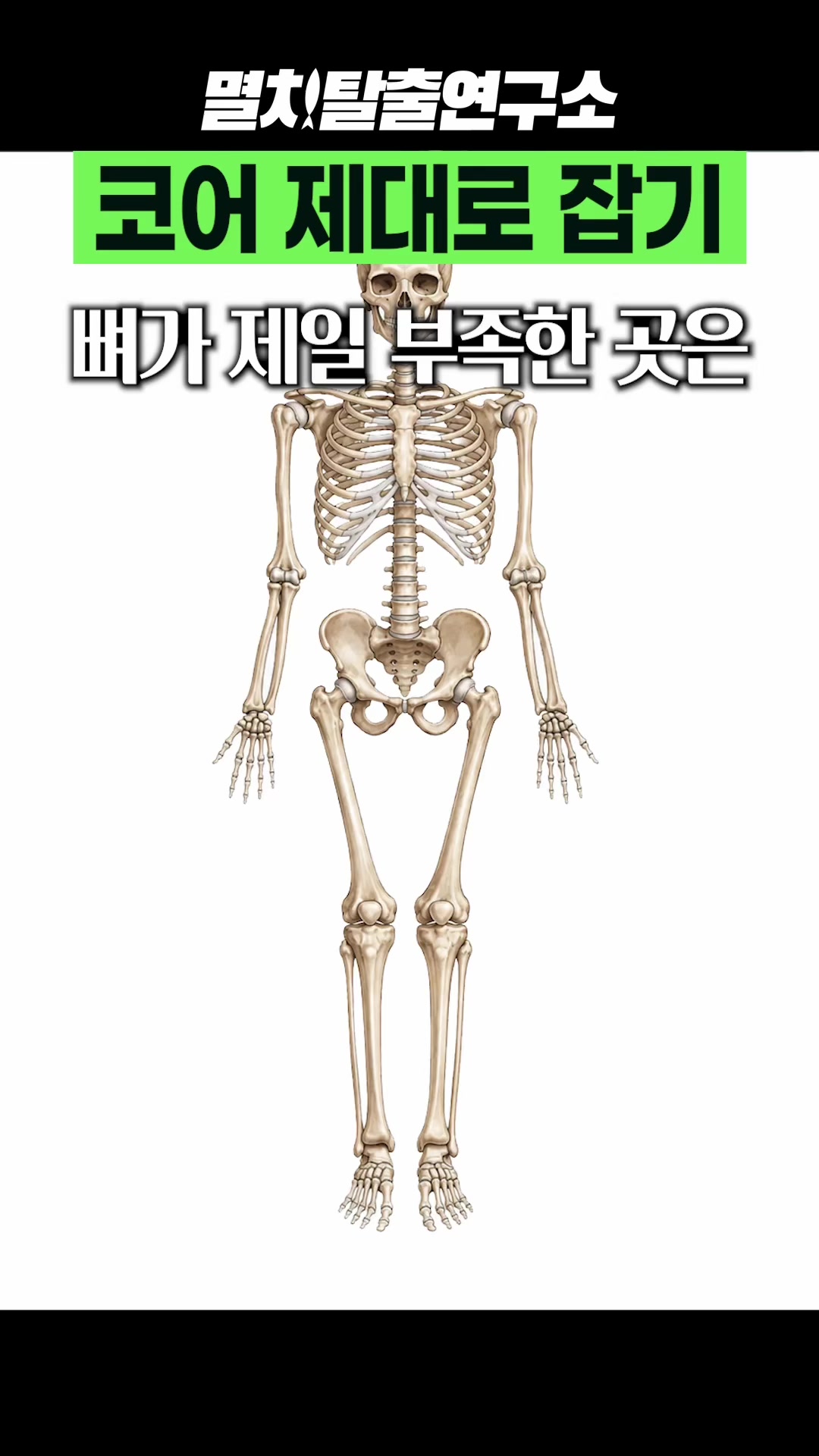 @멸치탈출연구소