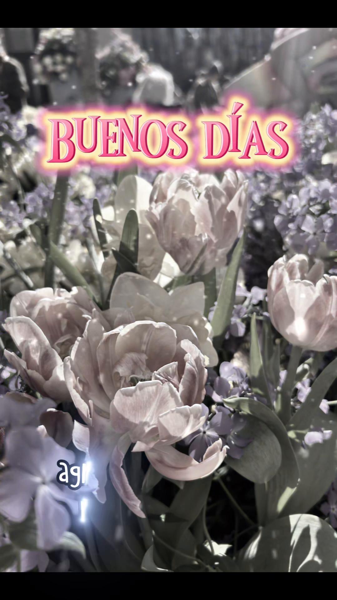 @🍒Teresa🇲🇽🇲🇽🌞☀️