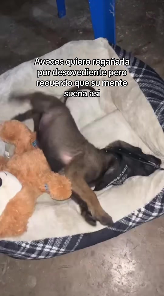 @Jose09🇲🇽