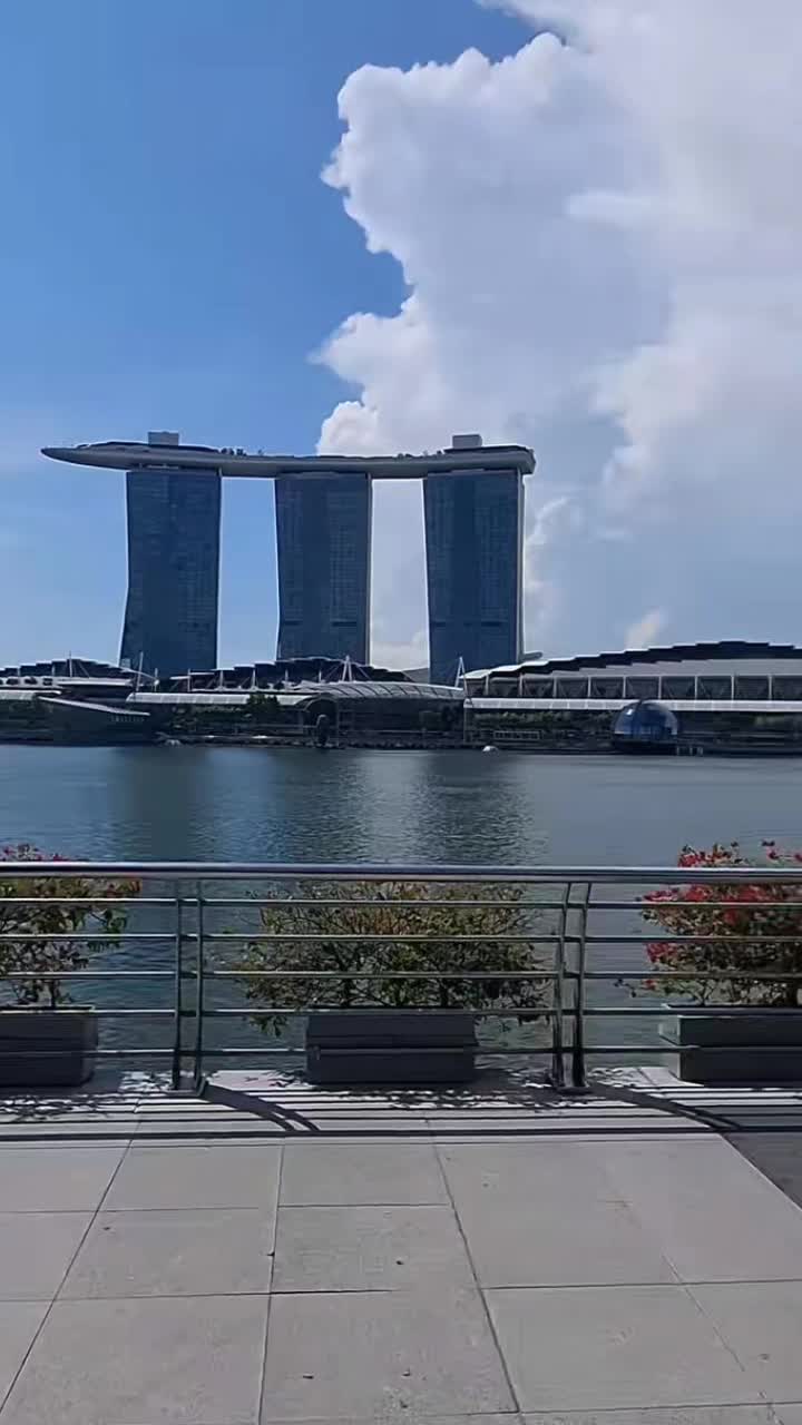 @CRUZ .C.