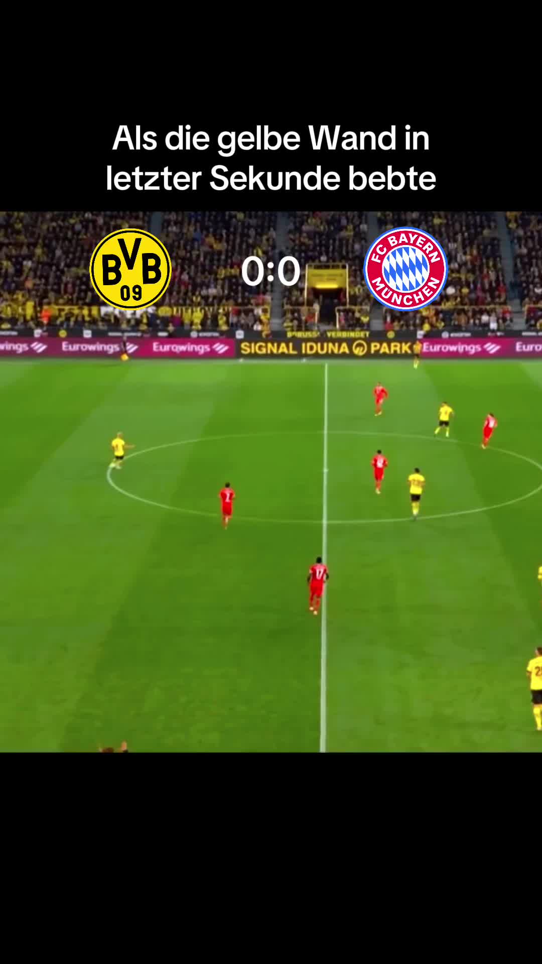@XForza BVB🖤💛