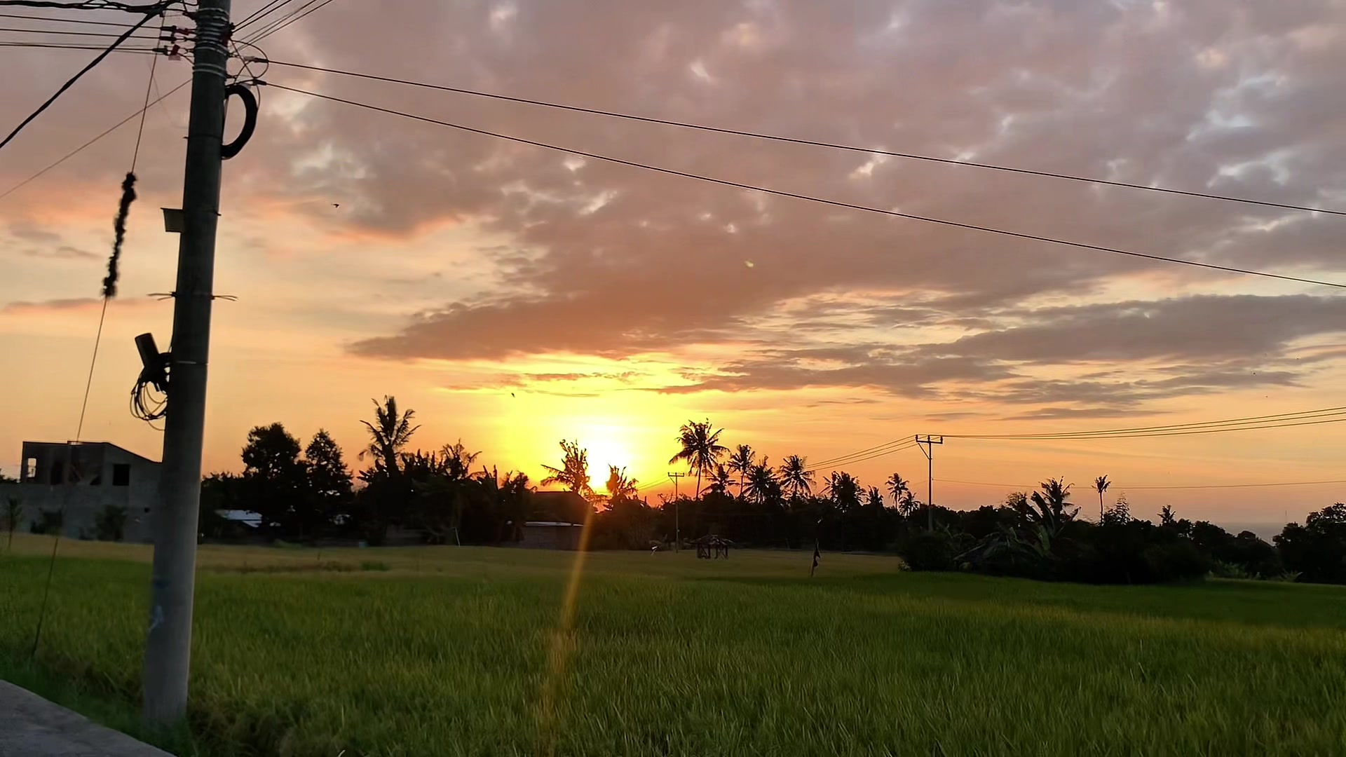 @Putu Ngurah Arya Darma Sugiart