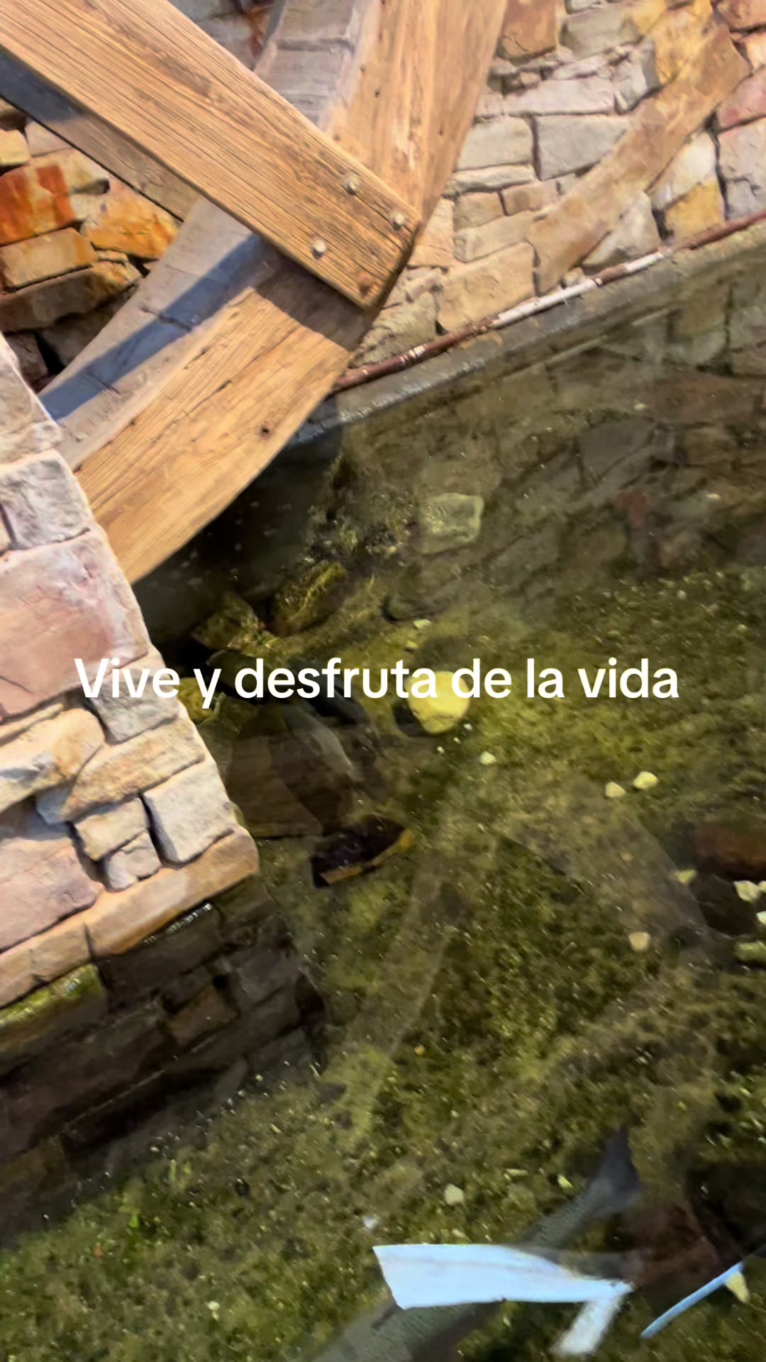 @Pedro Cruz