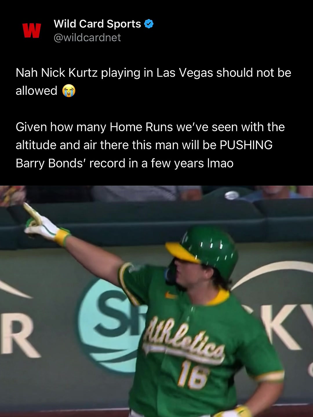 @Wild Card Sports