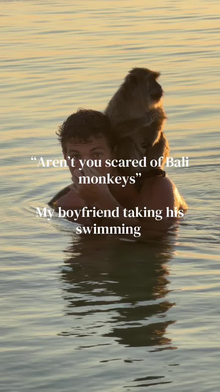 @Holly múeller