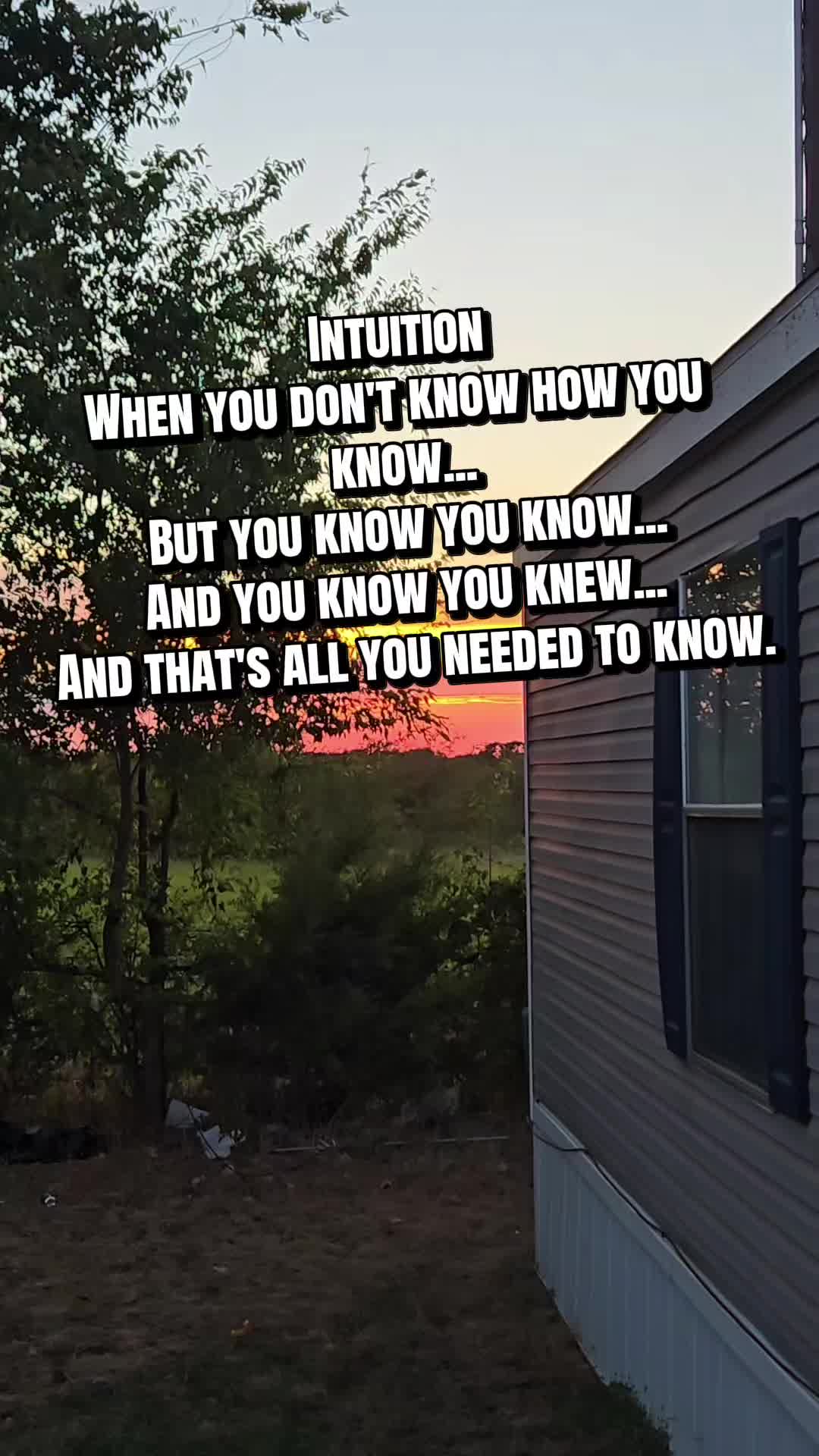 @kim wilson/life as a mom⭐️🌍