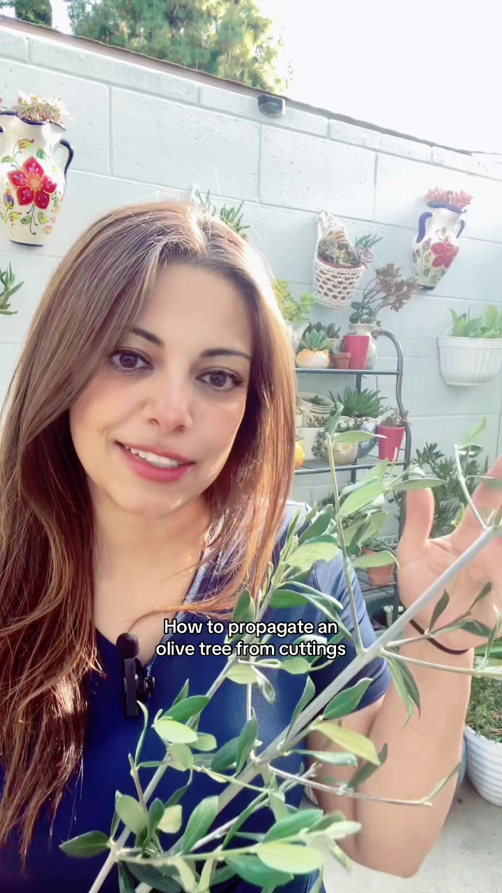 @Earth to Rana
