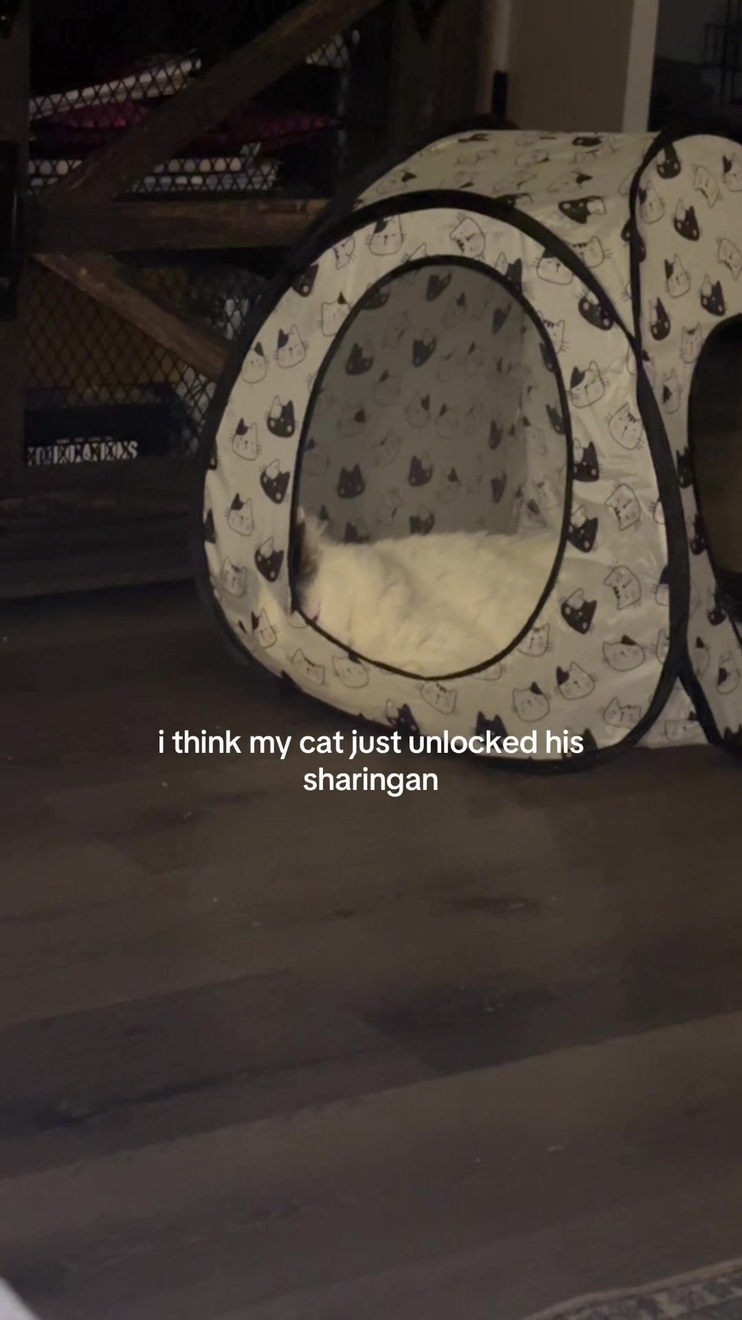 @bdhyxgav