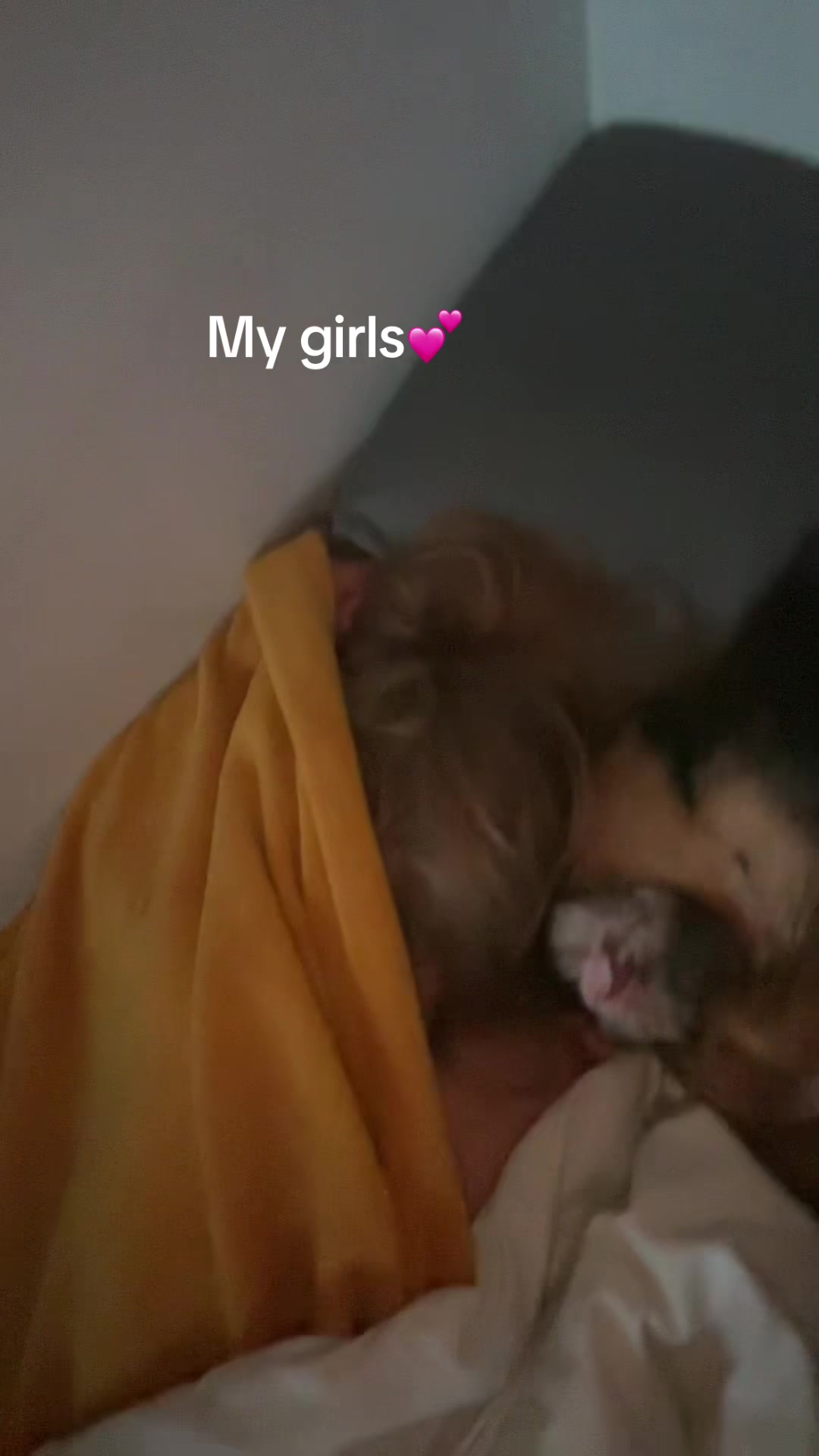 @Lavenderhazzeyy