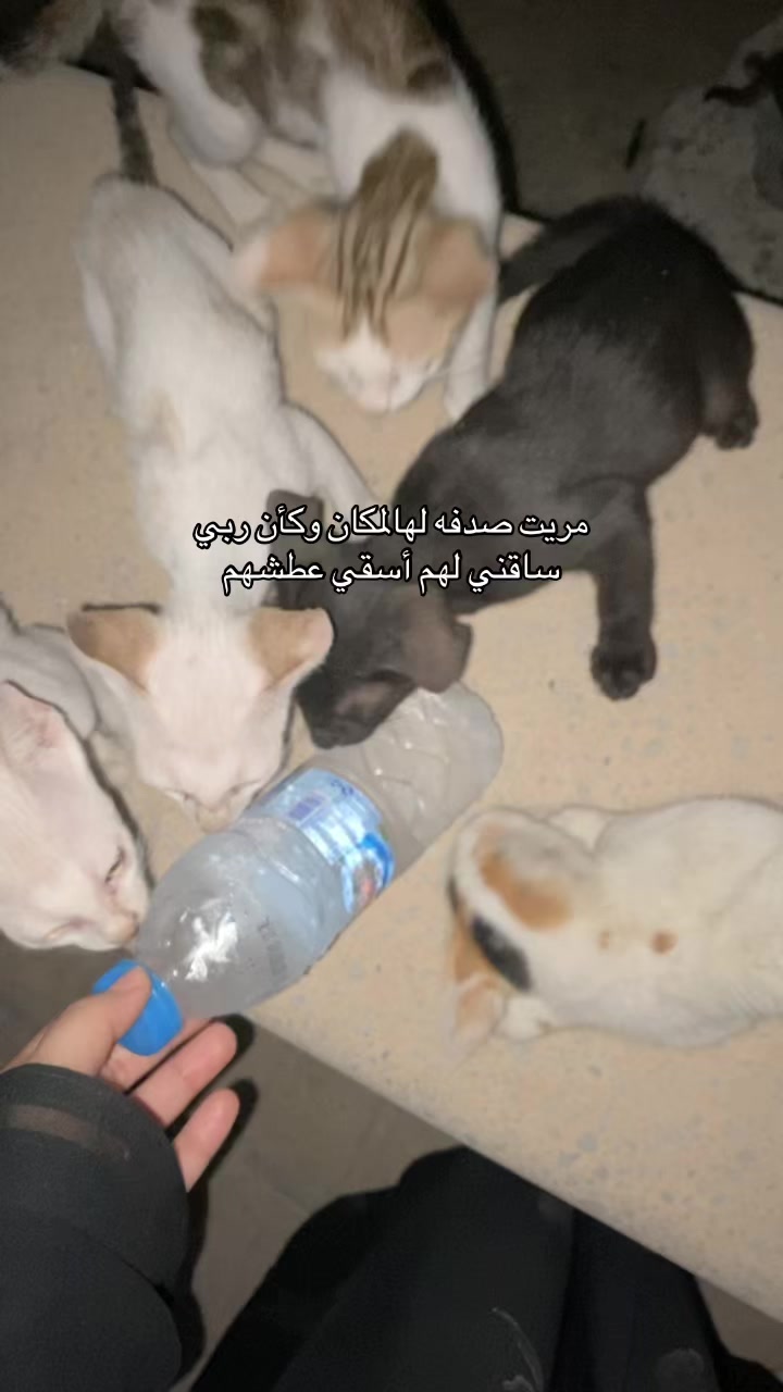 @MILA🤍LUNA