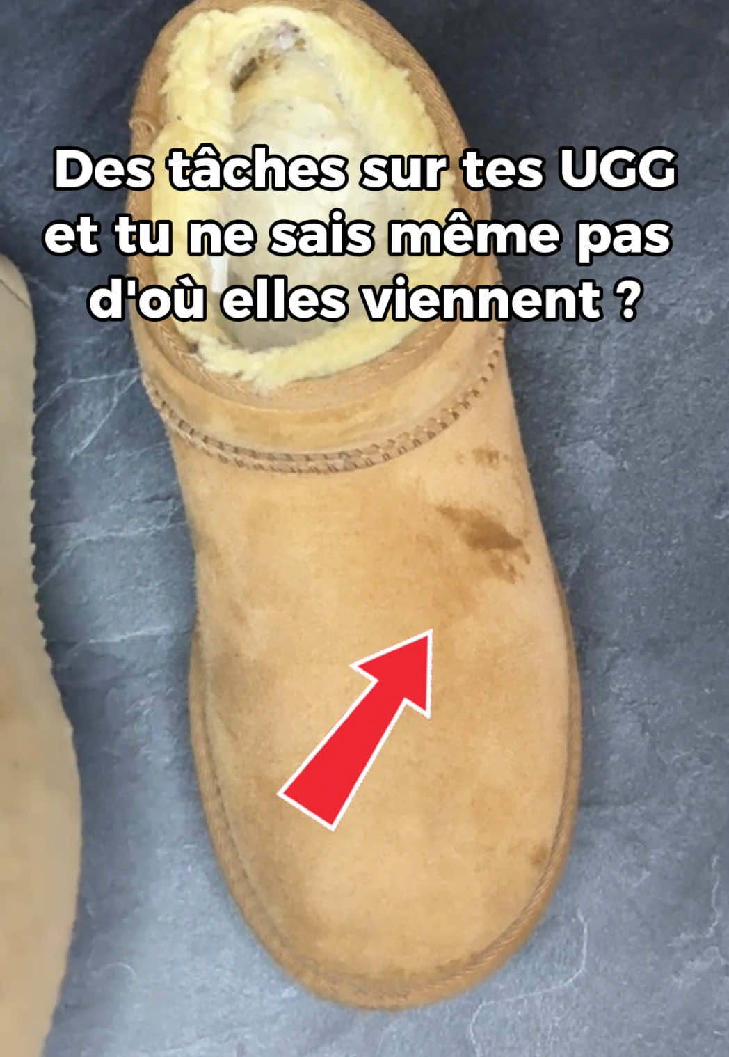 @LSBL