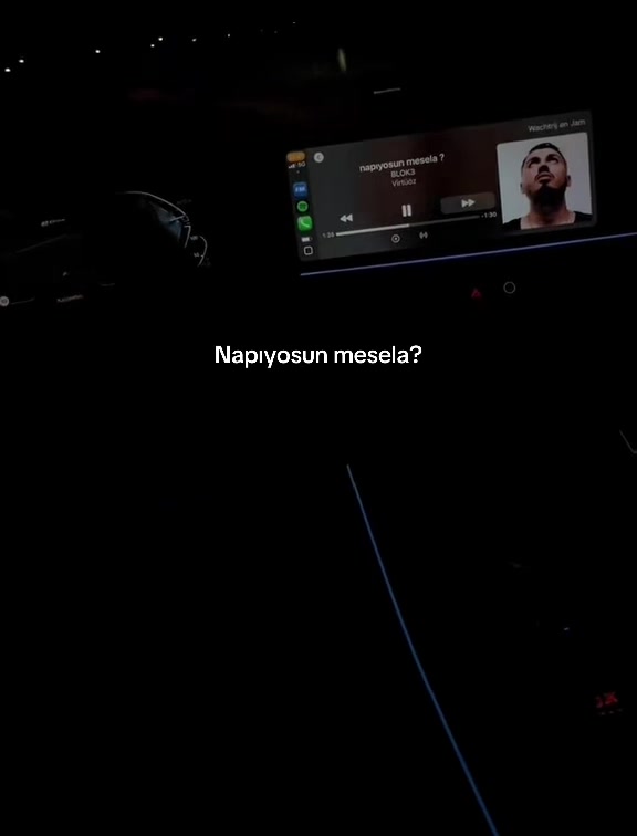 @sevdademirci52