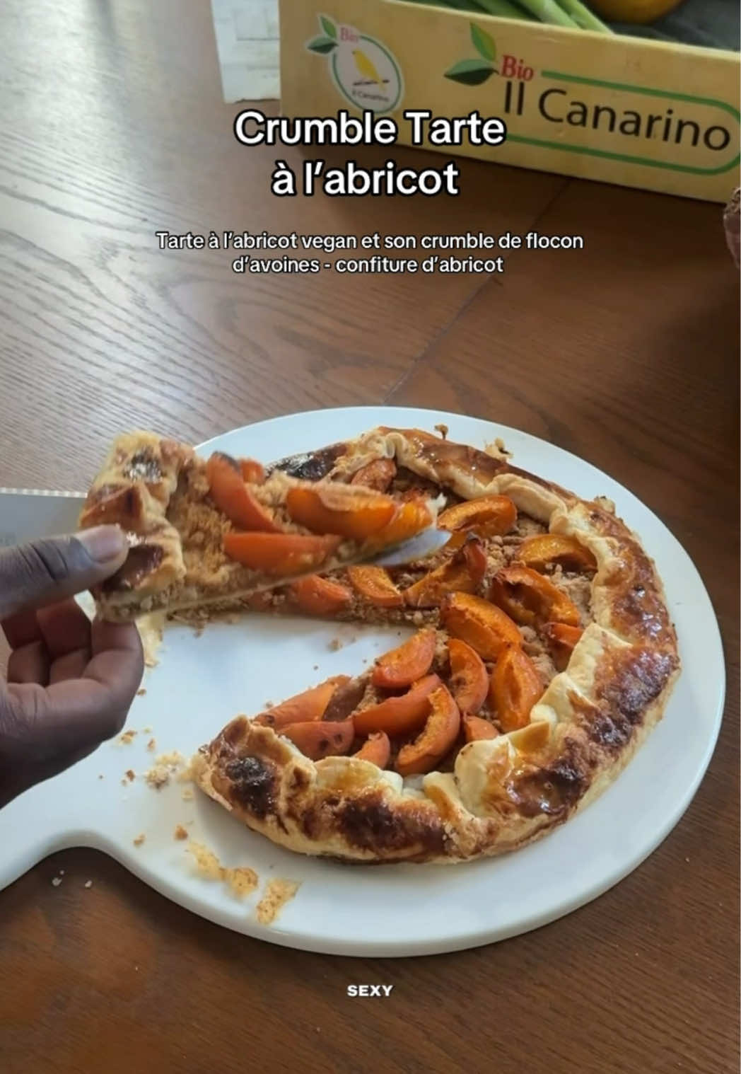 @fabricecolekvz