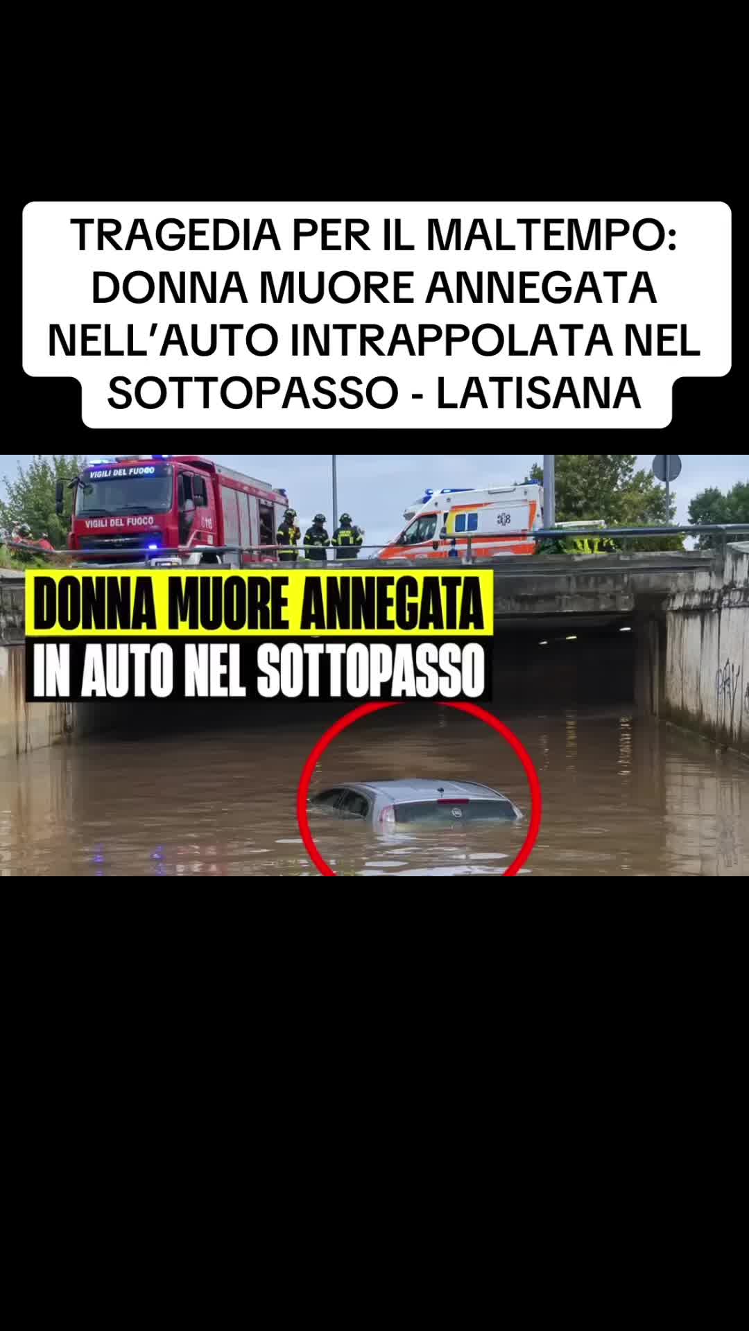 @flashtv_notizie