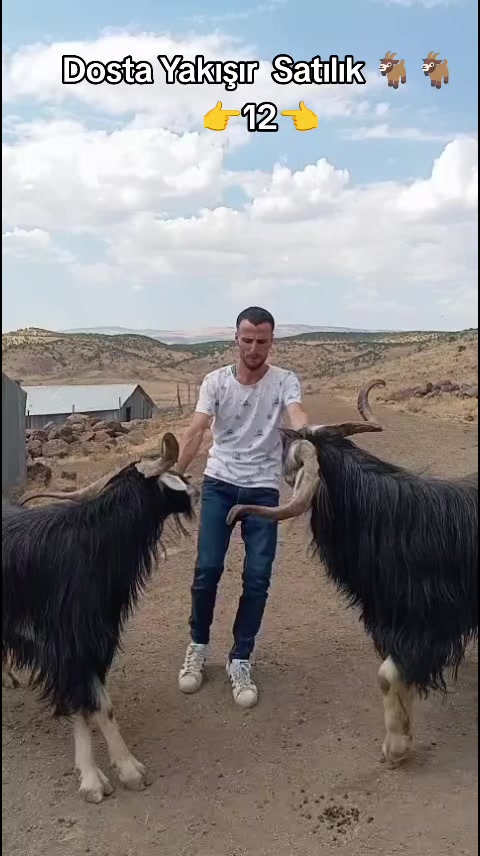 @koçer.12