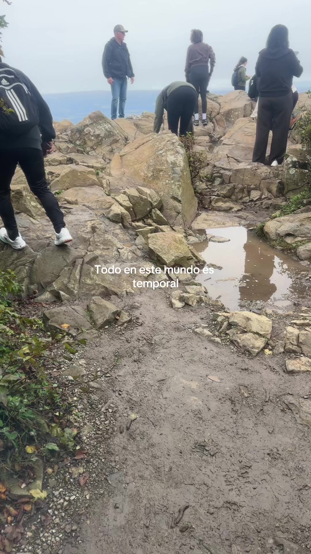 @lourdesruiz11🥰🫶🏻🎁🇸🇻🌲