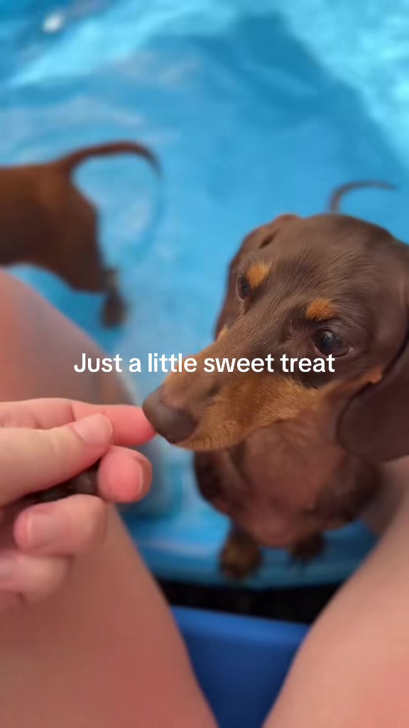@Sarah and the Peanuts