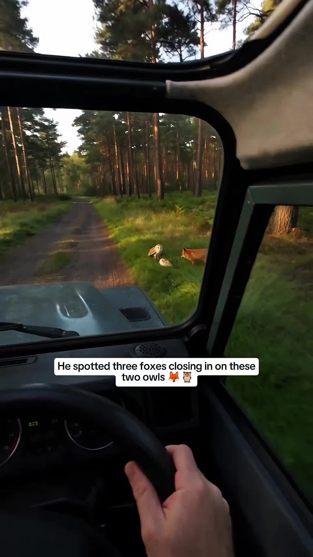 @WildwonderzZzz