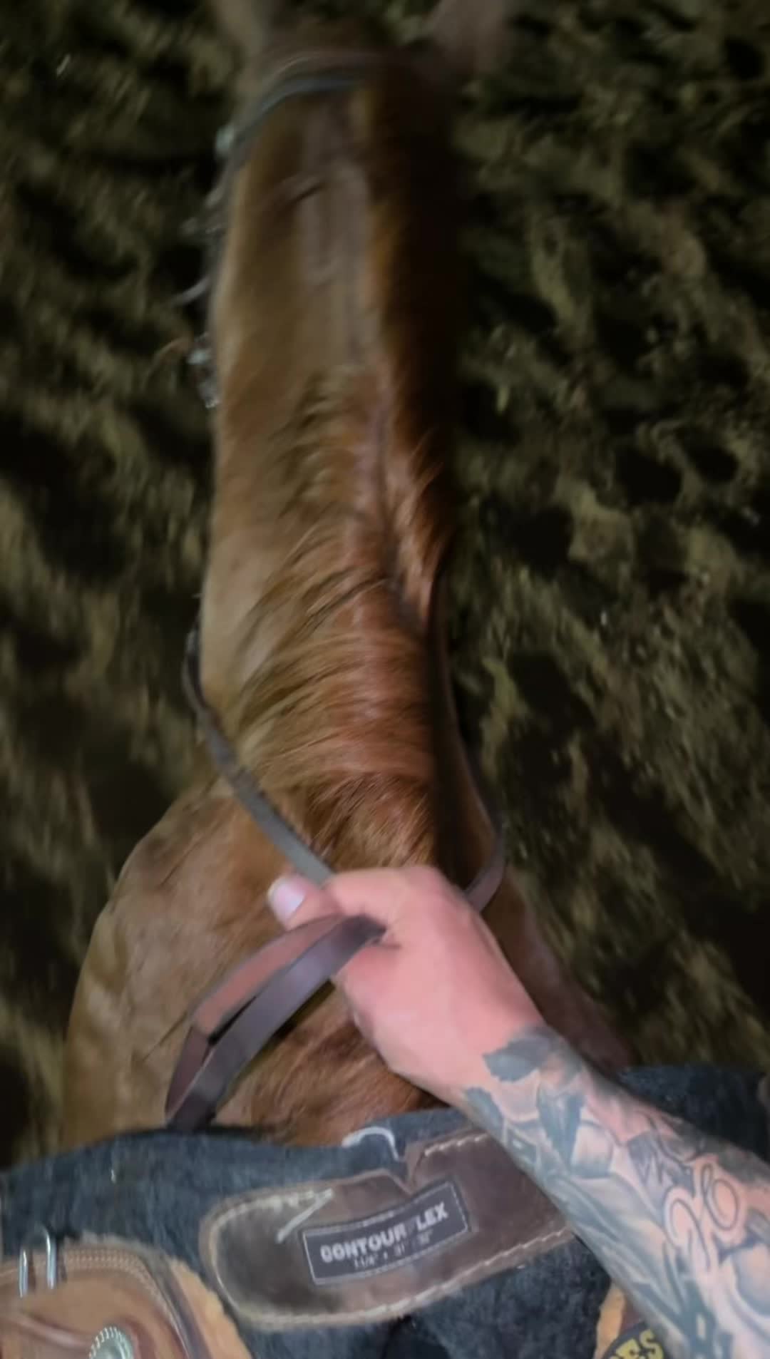 @Rey_El_Rey